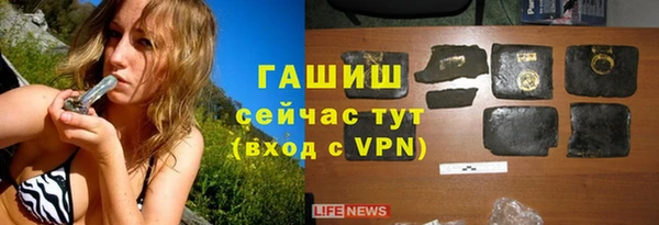 гидра Майский