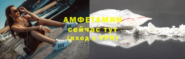 гидра Майский