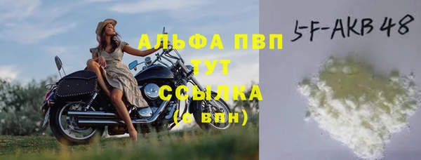 гидра Майский