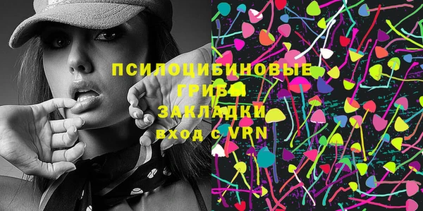 гидра Майский