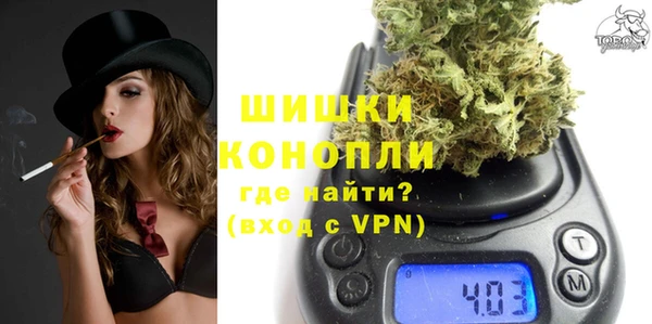 гидра Майский
