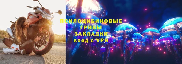 spice Магас